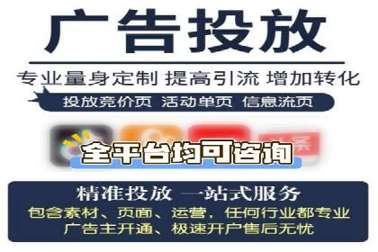 百度优化推广案例：打造行业领先品牌